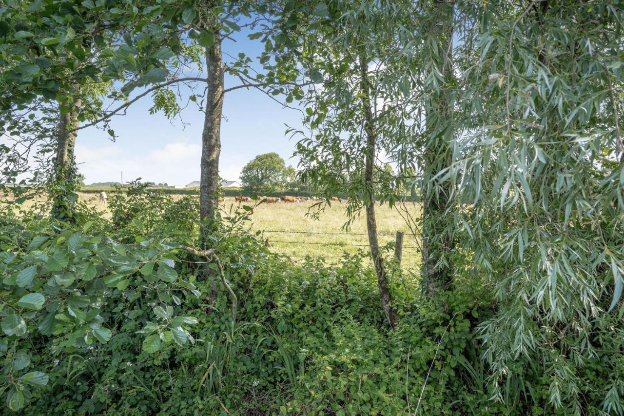 Ash Cottage Llantwit Major Εξωτερικό φωτογραφία